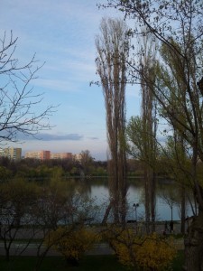 Vedere din București. Parcul IOR. Foto: Călin Hera